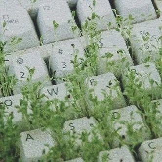 이끼 프로필 이미지