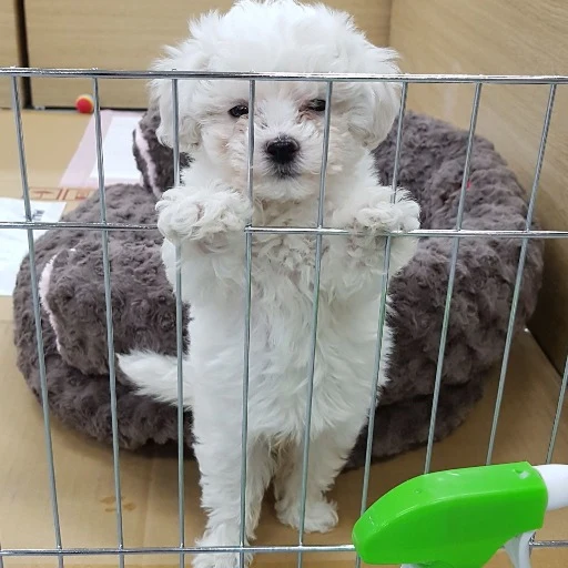 오늘도 최애 프로필 이미지